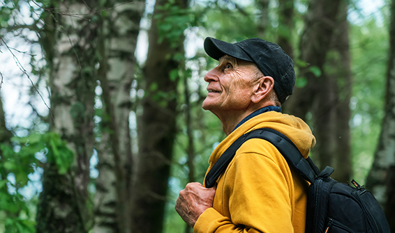 idoso e sustentabilidade