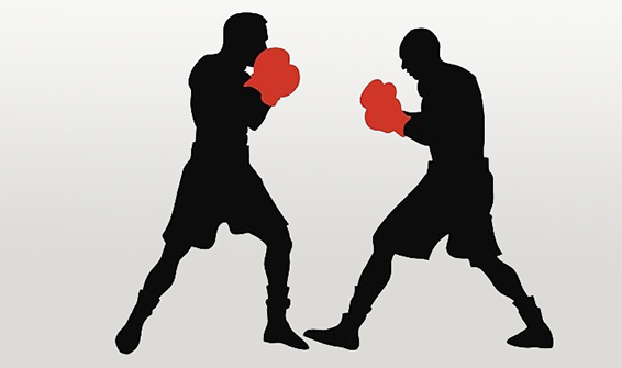 Lutadores boxe