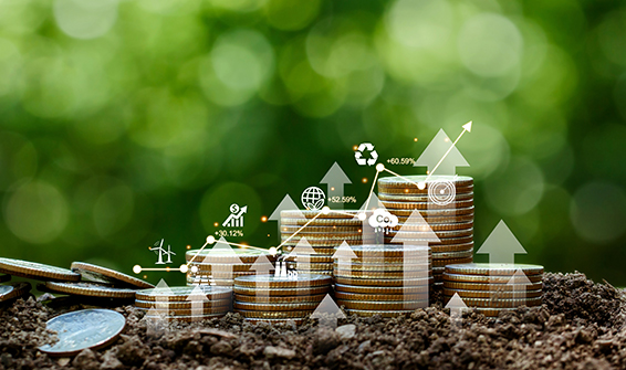 investimentos diversificados