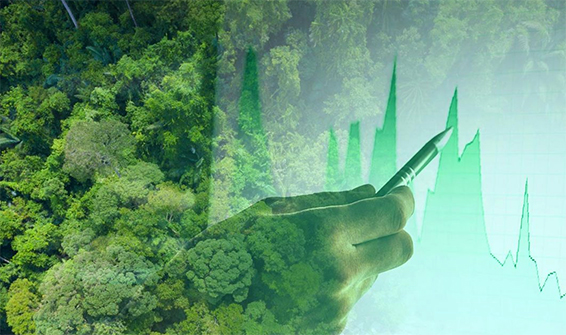 Fundo de pensão holandês equilibra retorno e sustentabilidade